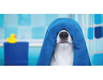 Zakaj je pomembna kvalitetna kozmetika?