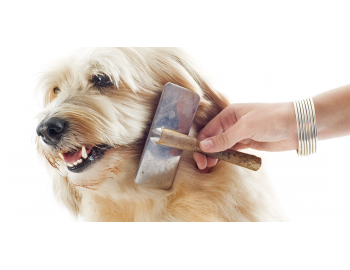 Pravilna nega dlake ... nočna mora!